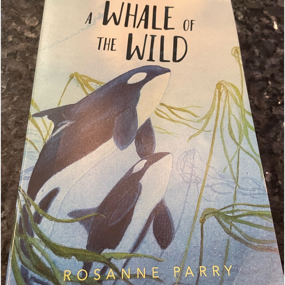 Kids book. Used. Pretty good conditions